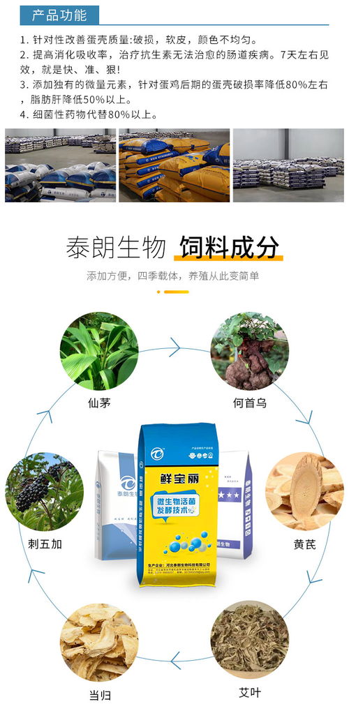 河北泰朗 生物飼料與飼料添加劑的創(chuàng)新之路